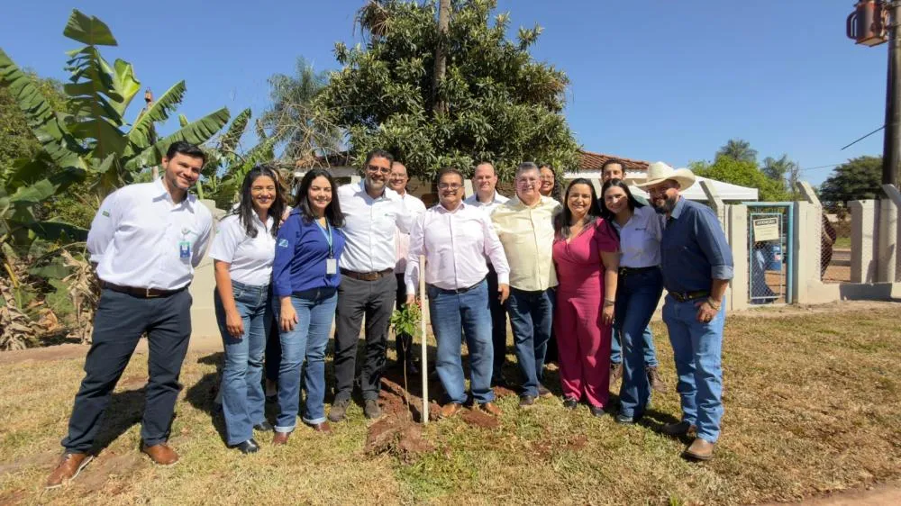 Suzano doa mais de 700 mudas de ipês à Prefeitura de Ribas do Rio Pardo (MS)