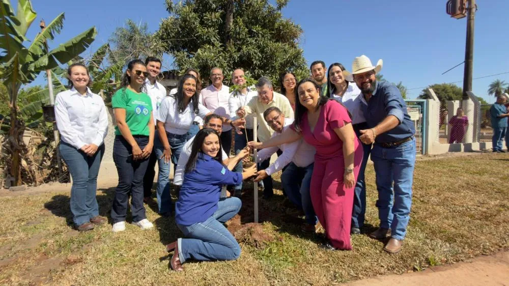 Suzano doa mais de 700 mudas de ipês à Prefeitura de Ribas do Rio Pardo (MS)